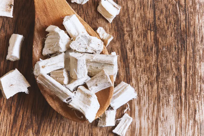 Dried marshmallow root pieces on a wooden spoon